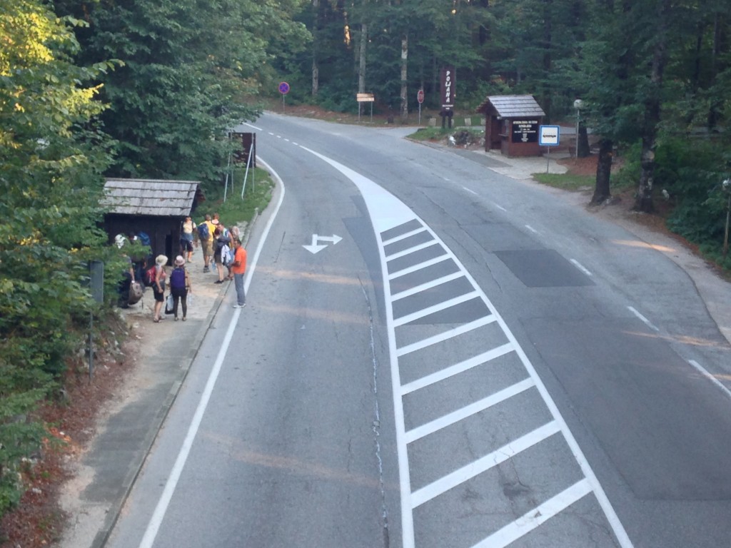 Unassuming bus stop. Don't get on the wrong side of the road, or you'll be going the wrong way