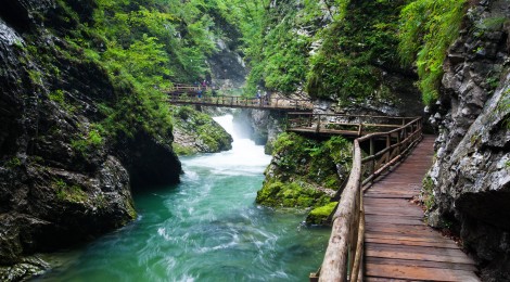 Bled: Vintgar Gorge and Kozjak Waterfall
