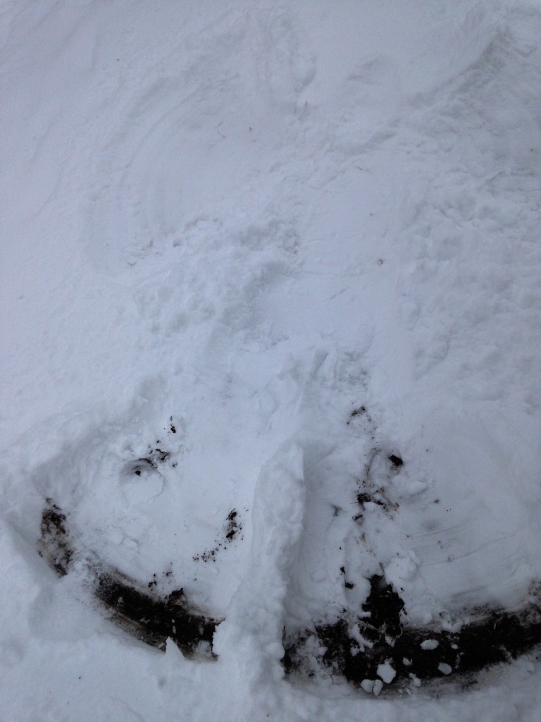 Hard to see, but I made a snow angel!