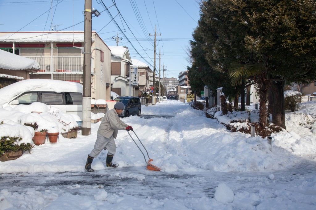 Neighborhood street adjacent to the park