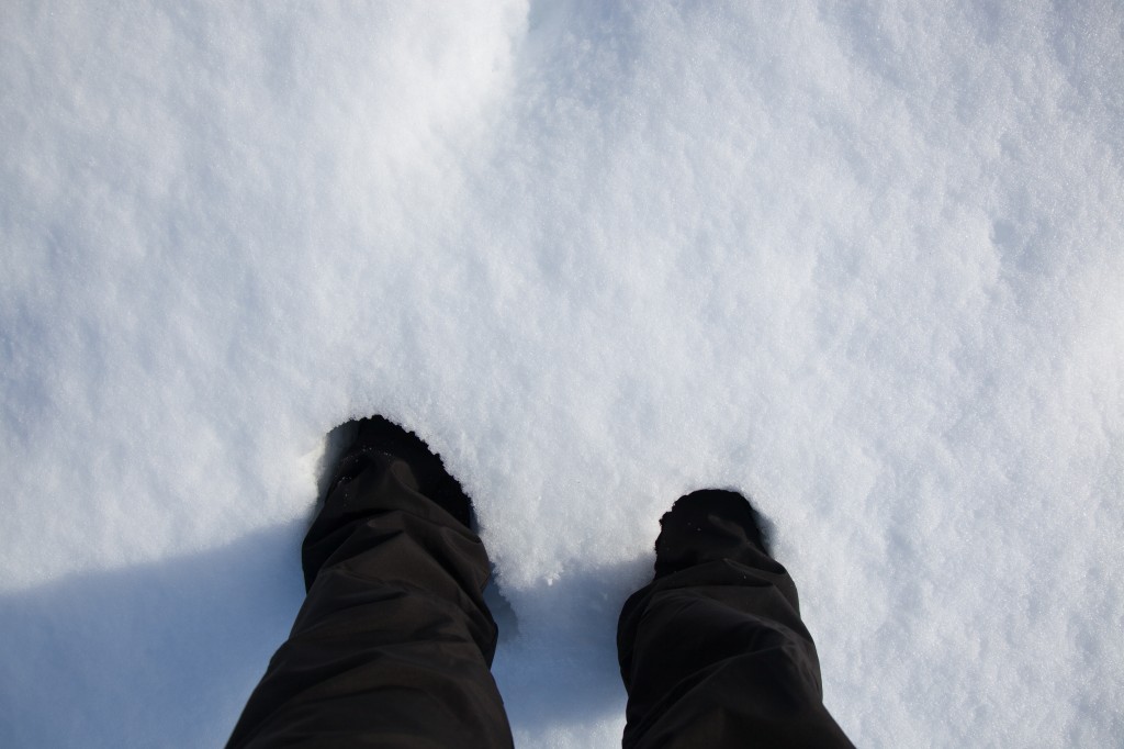 In the open area of the park, the snow came up to mid-calf on me