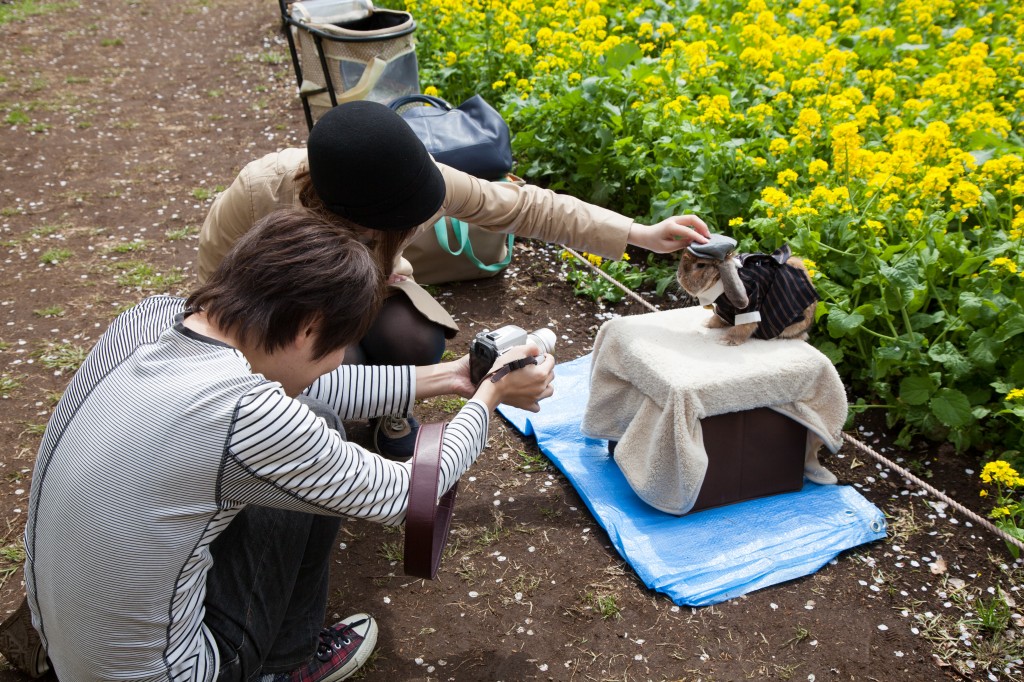 Yep, on a fashion shoot with their pet rabbit.